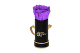INFINITY 1 - Purple Rose