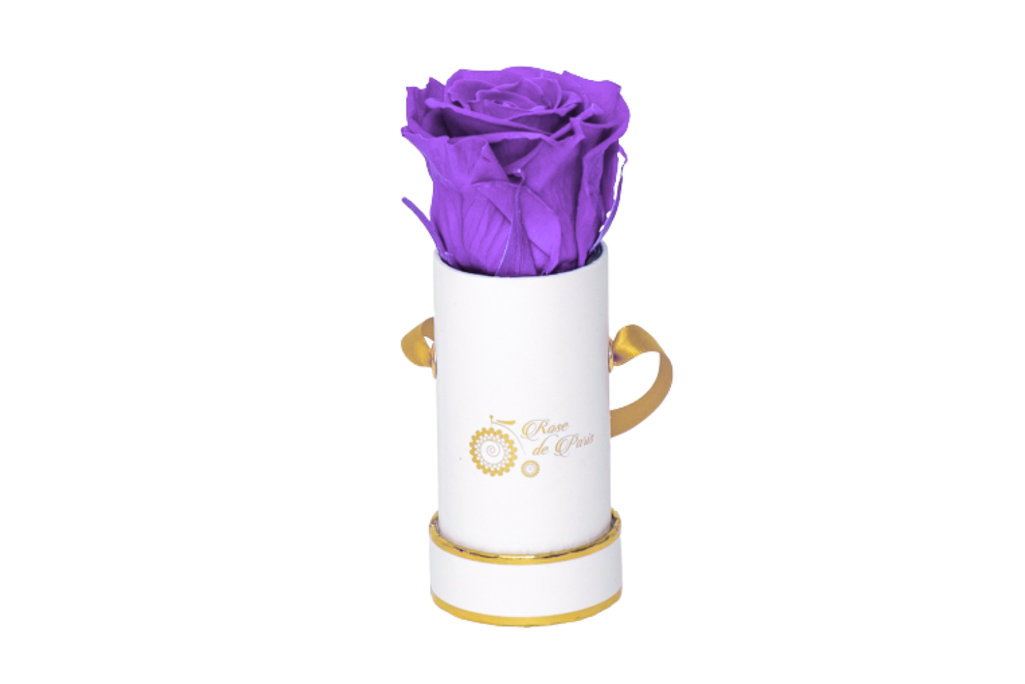 INFINITY 1 - Purple Rose