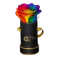 INFINITY 1 - Rainbow Rose