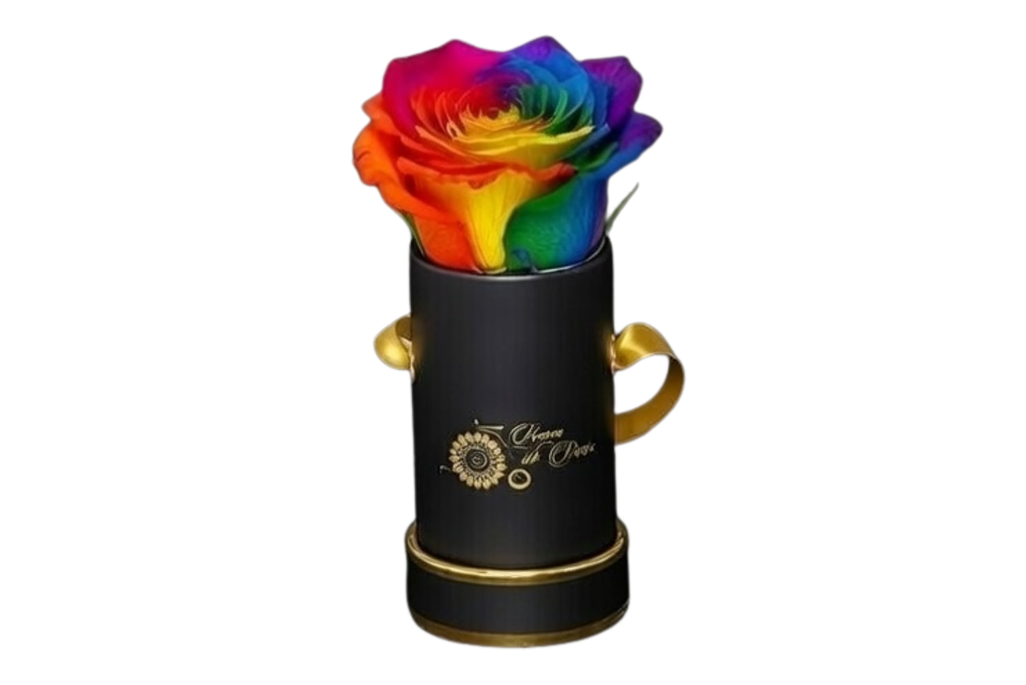 INFINITY 1 - Rainbow Rose
