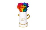 INFINITY 1 - Rainbow Rose
