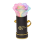 INFINITY 1 - Rainbow Pink Rose