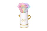 INFINITY 1 - Rainbow Pink Rose