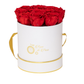 INFINITY 13- with Red Roses