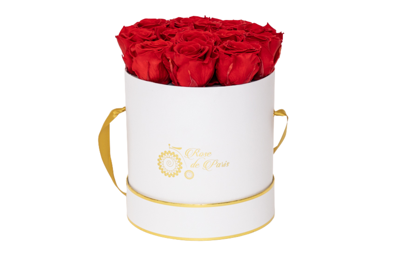 INFINITY 13- with Red Roses