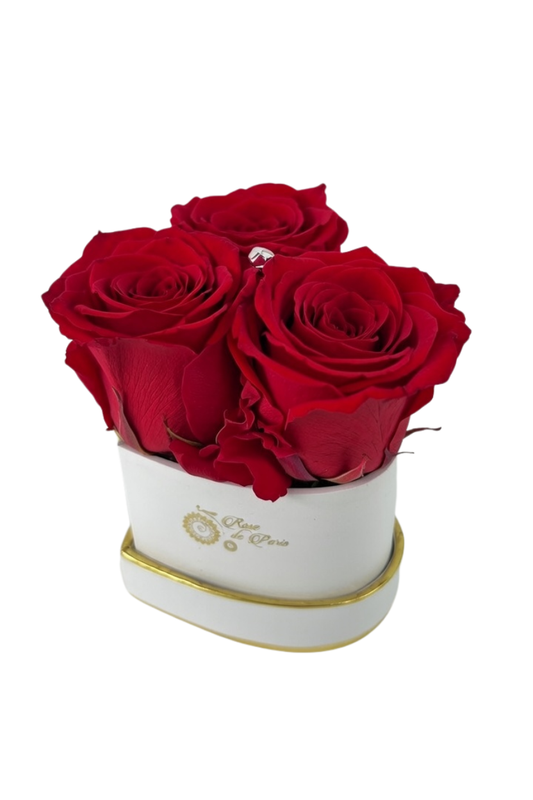 HEART 3 with Red Roses