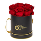 INFINITY 7- with Red Roses