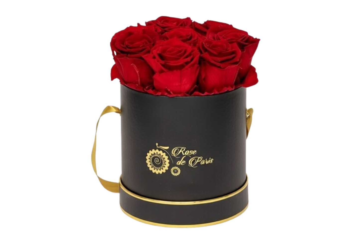 INFINITY 7- with Red Roses