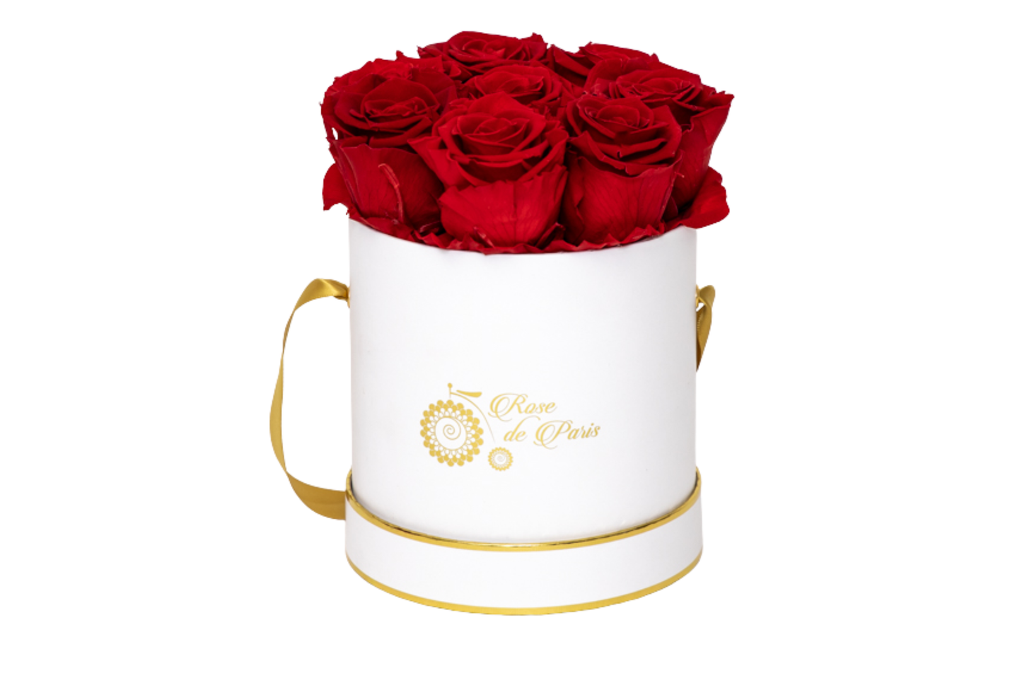 INFINITY 7- with Red Roses
