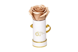 INFINITY 1 - Satin Champagne Rose