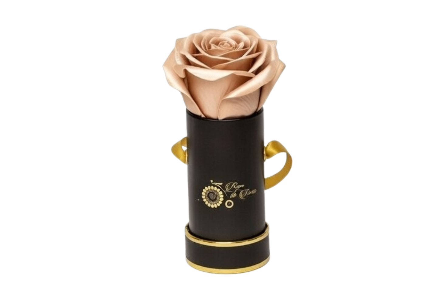 INFINITY 1 - Satin Champagne Rose