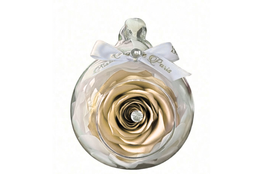 Satin Champagne - Rose Marble