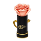 INFINITY 1 - Satin Peach Rose