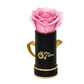 INFINITY 1 - Satin Strawberry Rose