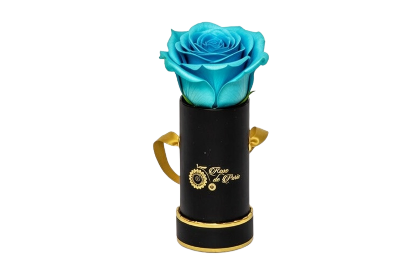 INFINITY 1 - Satin Tiffany Rose