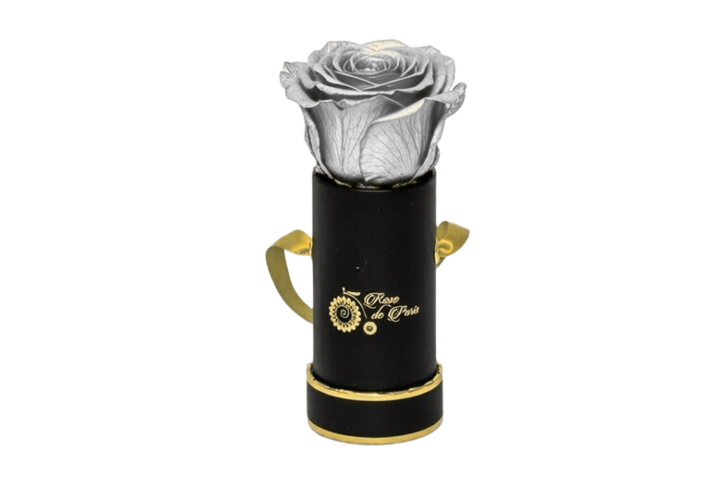 INFINITY 1 - Silver Rose