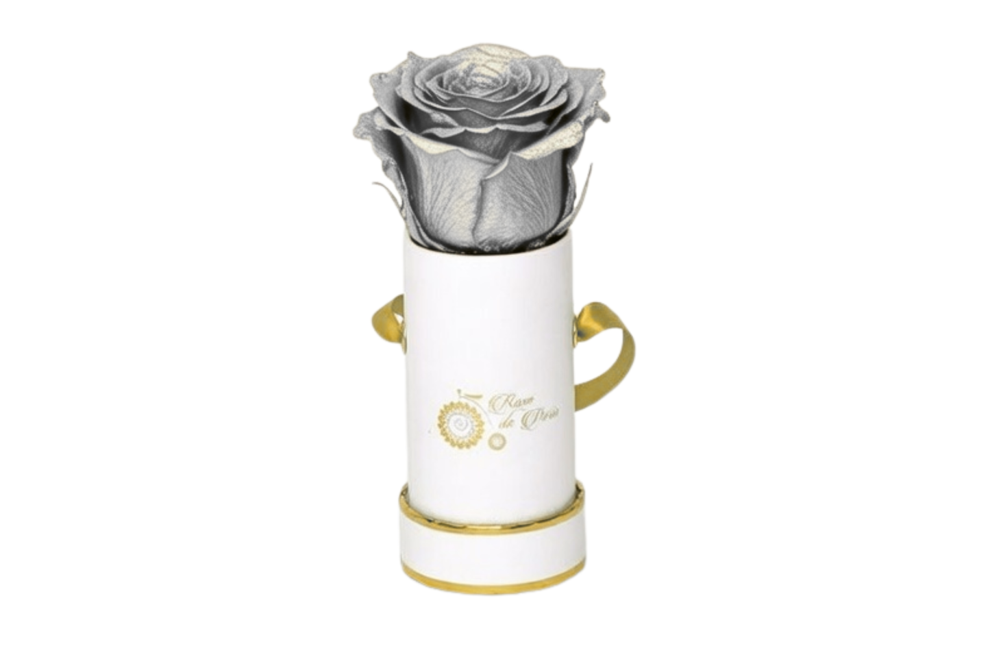 INFINITY 1 - Silver Rose