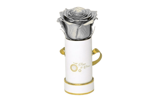 INFINITY 1 - Silver Rose