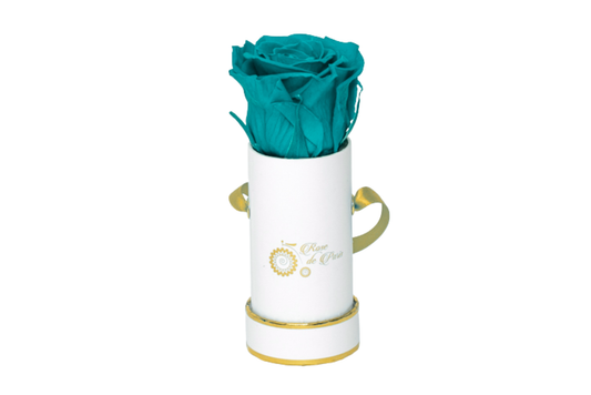 INFINITY 1 - Tiffany Rose