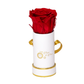 INFINITY 1 - Red Rose