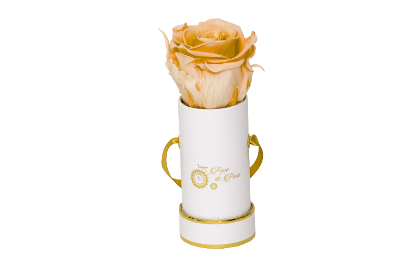INFINITY 1 - Peach Rose