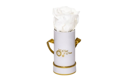 INFINITY 1 - White Rose