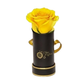 INFINITY 1 - Yellow Rose