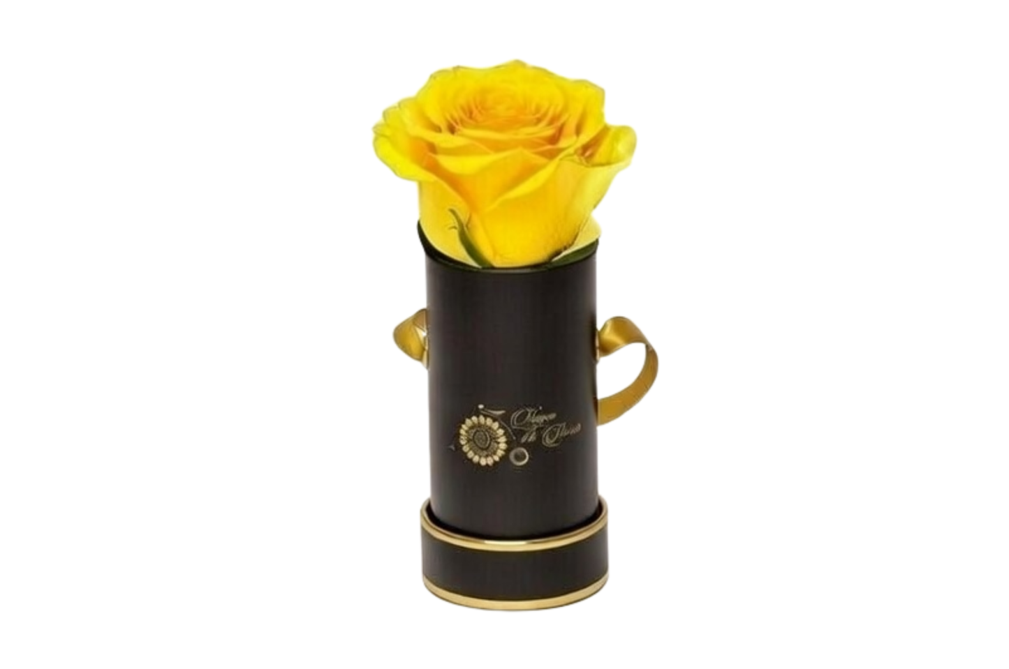 INFINITY 1 - Yellow Rose