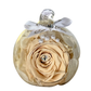 Light Champagne - Rose Marble