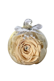 Light Champagne - Rose Marble