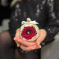Red - Rose Marble