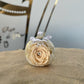 Light Champagne - Rose Marble